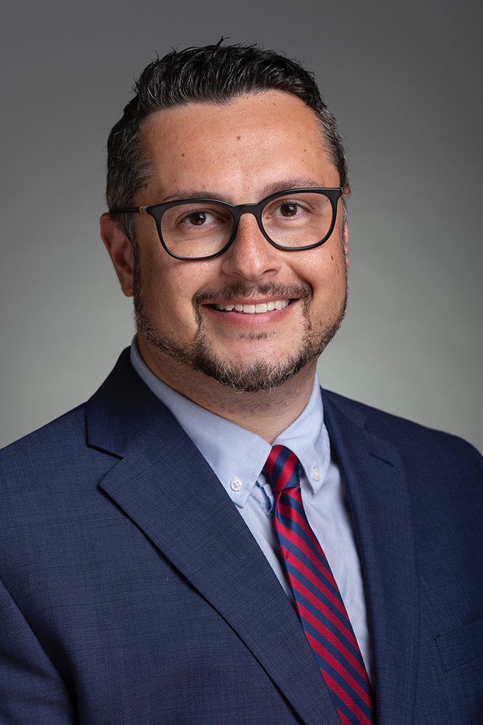 DianShahab-web